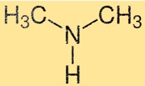 Diméthylamine