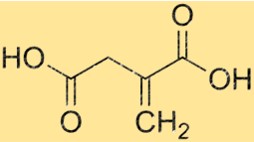 Itaconsäure