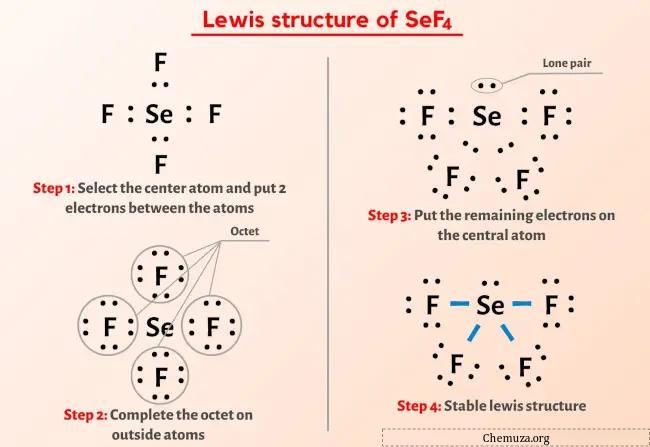 Struktur Lewis SeF4