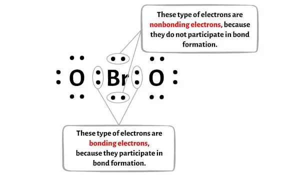 BrO2- adım 6