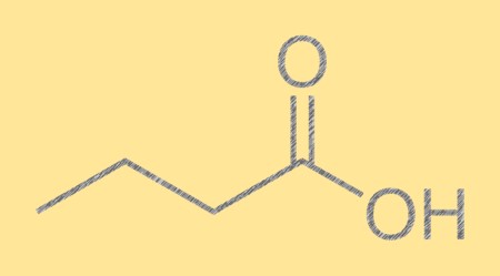 Acide butyrique