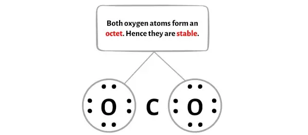 二氧化碳 步骤 3