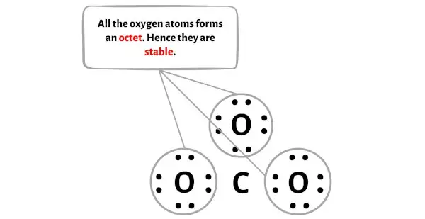 CO32-etapa 3