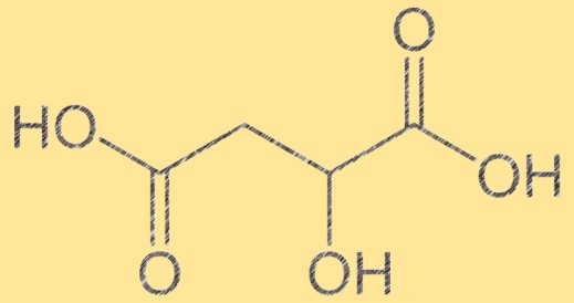 L'acide malique