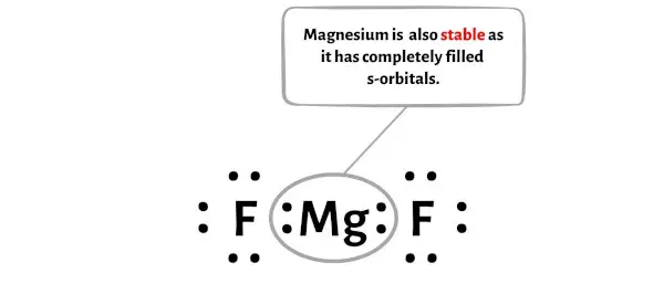 MgF2 ステップ 4