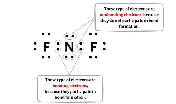 NF2-الخطوة 6