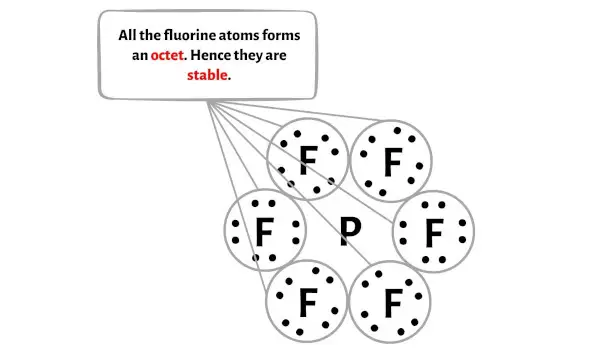 PF6-الخطوة 3