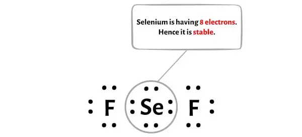 SeF2 ステップ 5