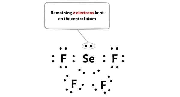 SeF4 fase 4