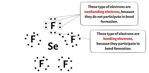 SeF5-passo 5