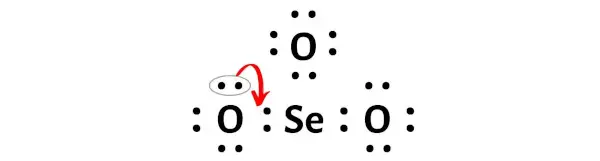 SeO3 步骤 5