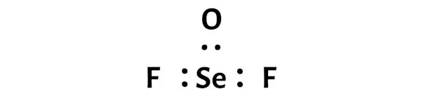 SeOF2 ステージ 2