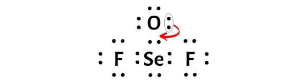 SeOF2 ステップ 8