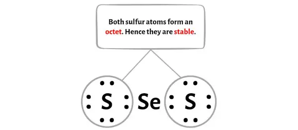 SeS2 ステージ 3