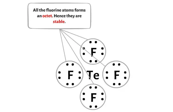 TeF4 langkah 3