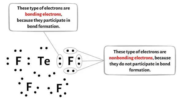 TeF4 ステップ 5