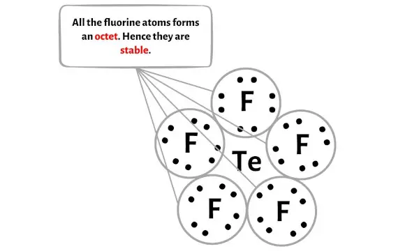 TeF5- étape 3