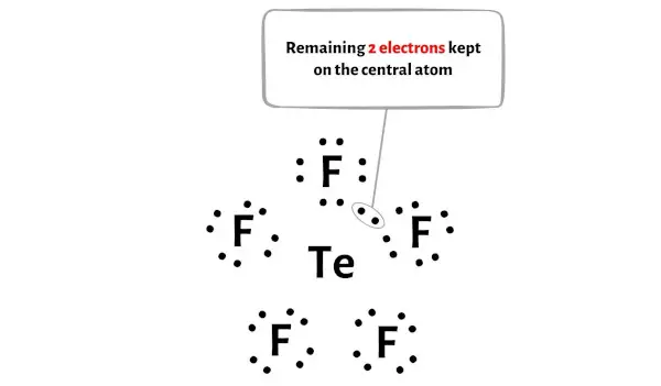 TeF5-步骤 4