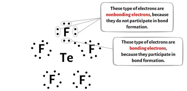 TeF5-步骤 5